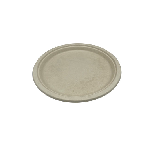Heavy Weight Plate 10"